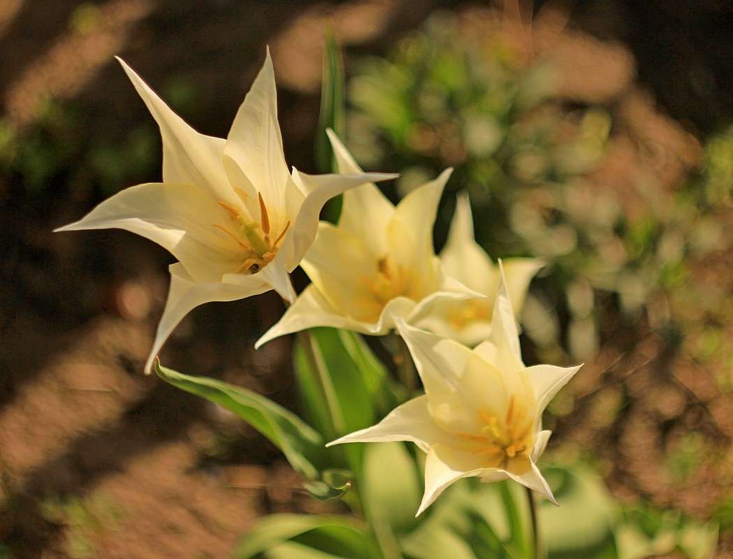 ������ ����� �����  �� PhotoGeek.ru #������ ��� ������� #����� ��������������