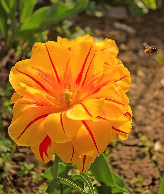 ����������� ... ����� �����  �� PhotoGeek.ru #������ ��� ������� #����� ��������������