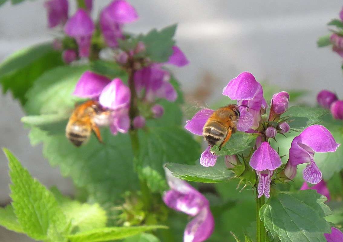 �� � ������� ... ������ �����))) ����� �����  �� PhotoGeek.ru #�������� ��� #������ ��� ������� #����� �������������� #����� ��������