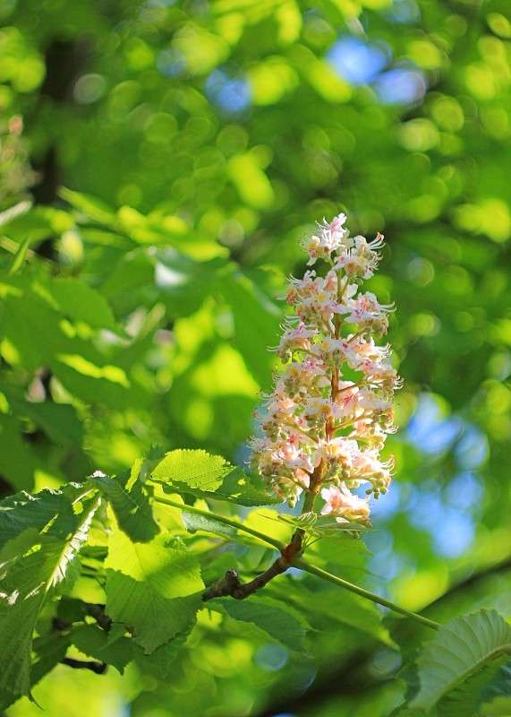 ����� ����� �����  �� PhotoGeek.ru #������ ��� ������� #����� ��������������