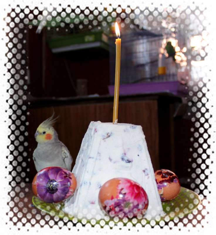 � ���������� �����! ����� �����  �� PhotoGeek.ru #�������� ����������