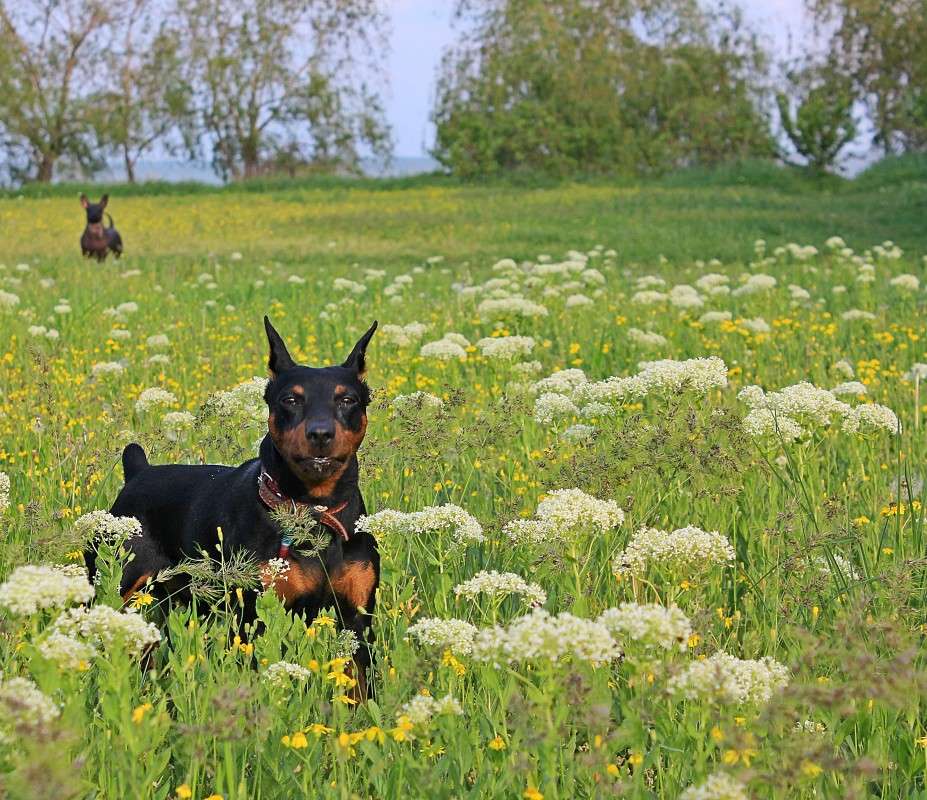 �� ������ ����� �����  �� PhotoGeek.ru #�������� ��� #�������� ���