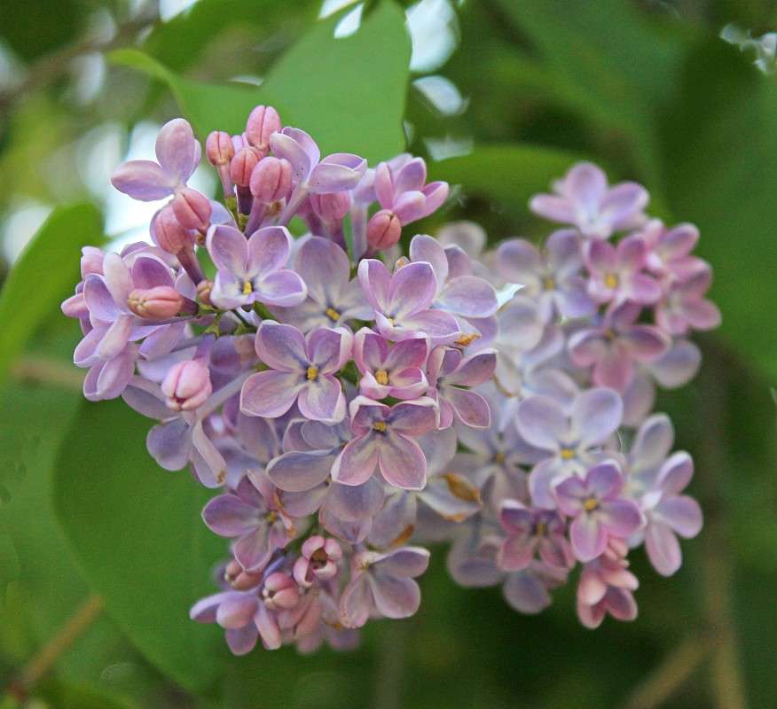 ������� ����� �����  �� PhotoGeek.ru #������ ��� ������� #����� ��������������