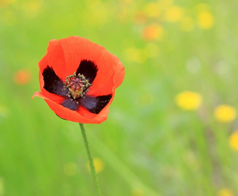 ��� ����� �����  �� PhotoGeek.ru #������ ��� ������� #����� ��������������