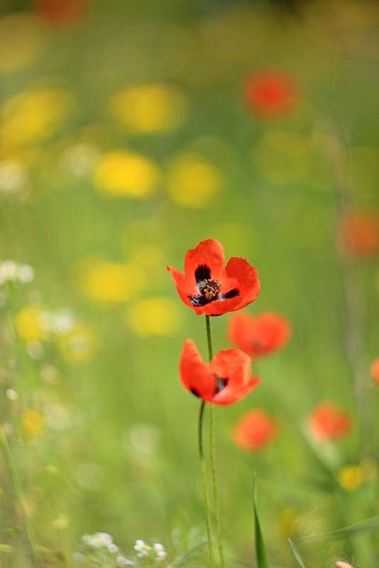 ��� ��� ����� �����  �� PhotoGeek.ru #������ ��� ������� #����� ��������������