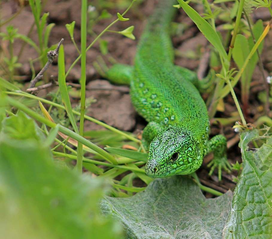 ���� ��������� ����� �����  �� PhotoGeek.ru #�������� ��� #����� ��� ��� ���������