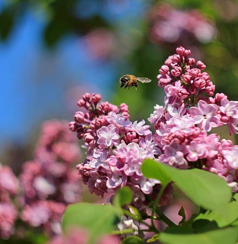 ... ����� �����  �� PhotoGeek.ru #�������� ��� #������ ��� ������� #����� �������������� #������ #����� ��������