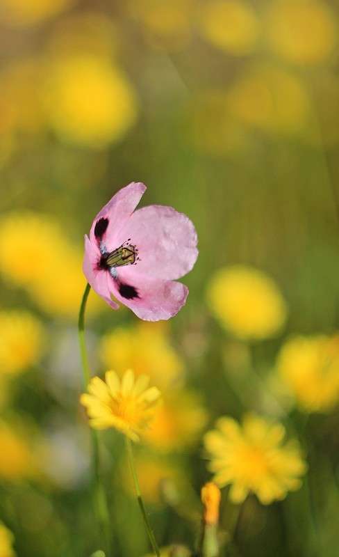 ��� ��� ����� �����  �� PhotoGeek.ru #������ ��� ������� #����� ��������������