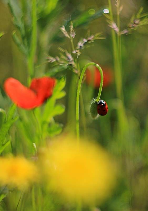 ���������) ����� �����  �� PhotoGeek.ru #�������� ��� #������ ��� ������� #����� ��������������
