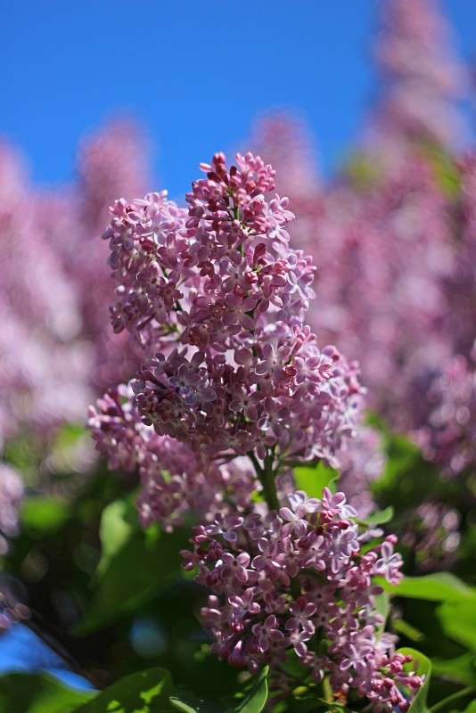 ����� ������ ����� �����  �� PhotoGeek.ru #������ ��� ������� #����� ��������������