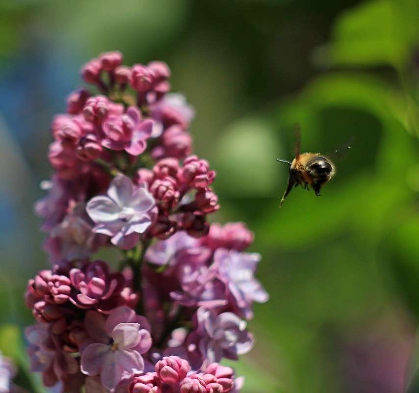 ��� �� ���������... ����� �����  �� PhotoGeek.ru #������ ��� ������� #����� ��������������