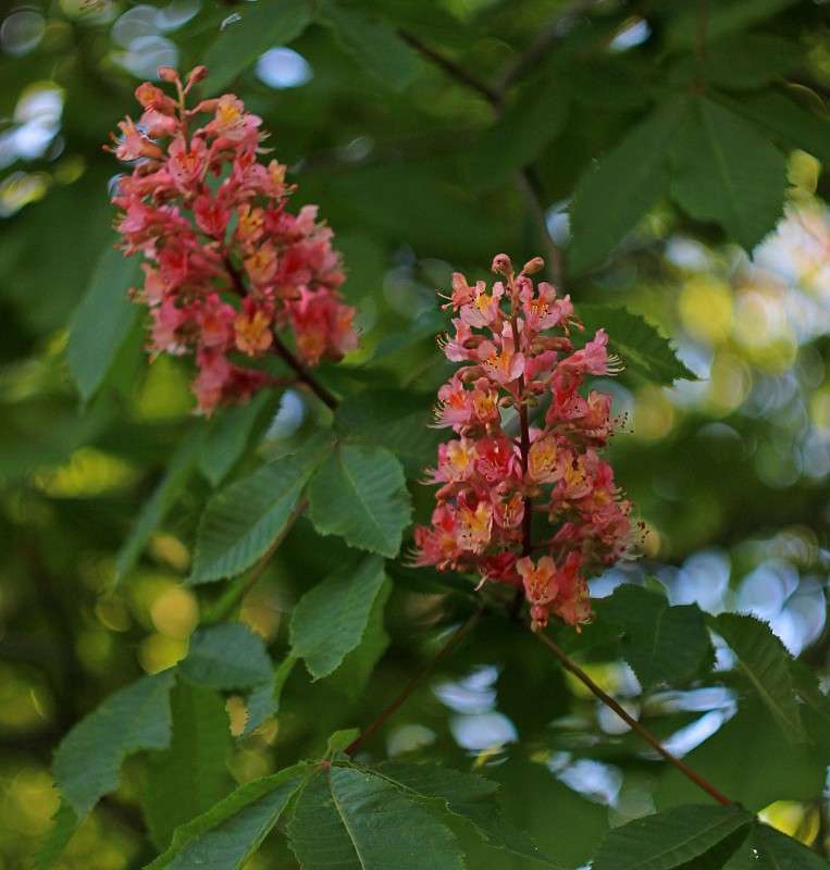 ������� ����� �����  �� PhotoGeek.ru #������ ��� ������� #����� ��������������