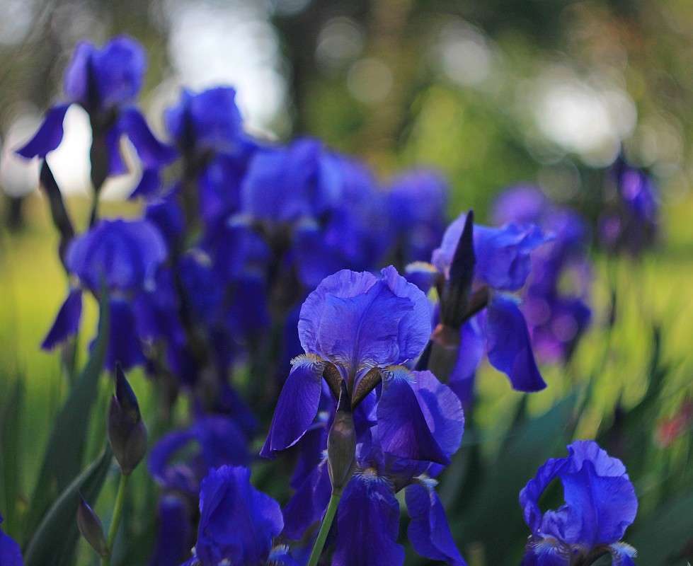 ������ ����� �����  �� PhotoGeek.ru #������ ��� ������� #����� ��������������