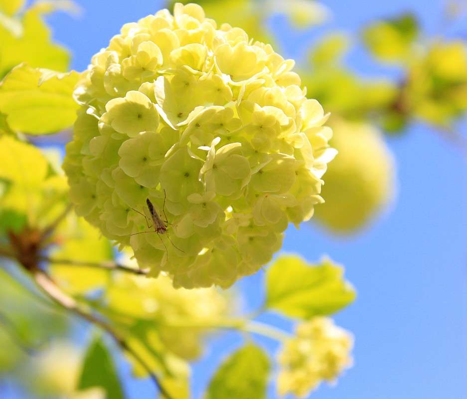 ����� ���������� �� ����� ������� ����� �����  �� PhotoGeek.ru #�������� ��� #������ ��� ������� #����� ��������������