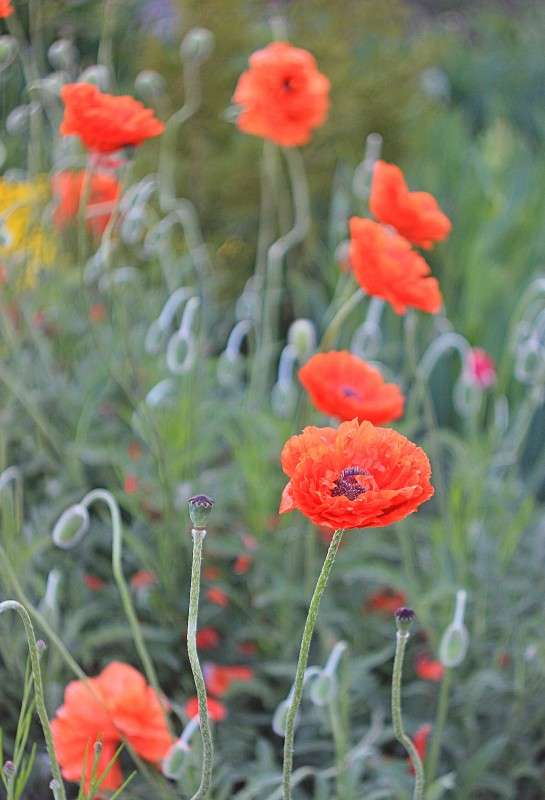 ������ ���� ����� �����  �� PhotoGeek.ru #������ ��� ������� #����� ��������������