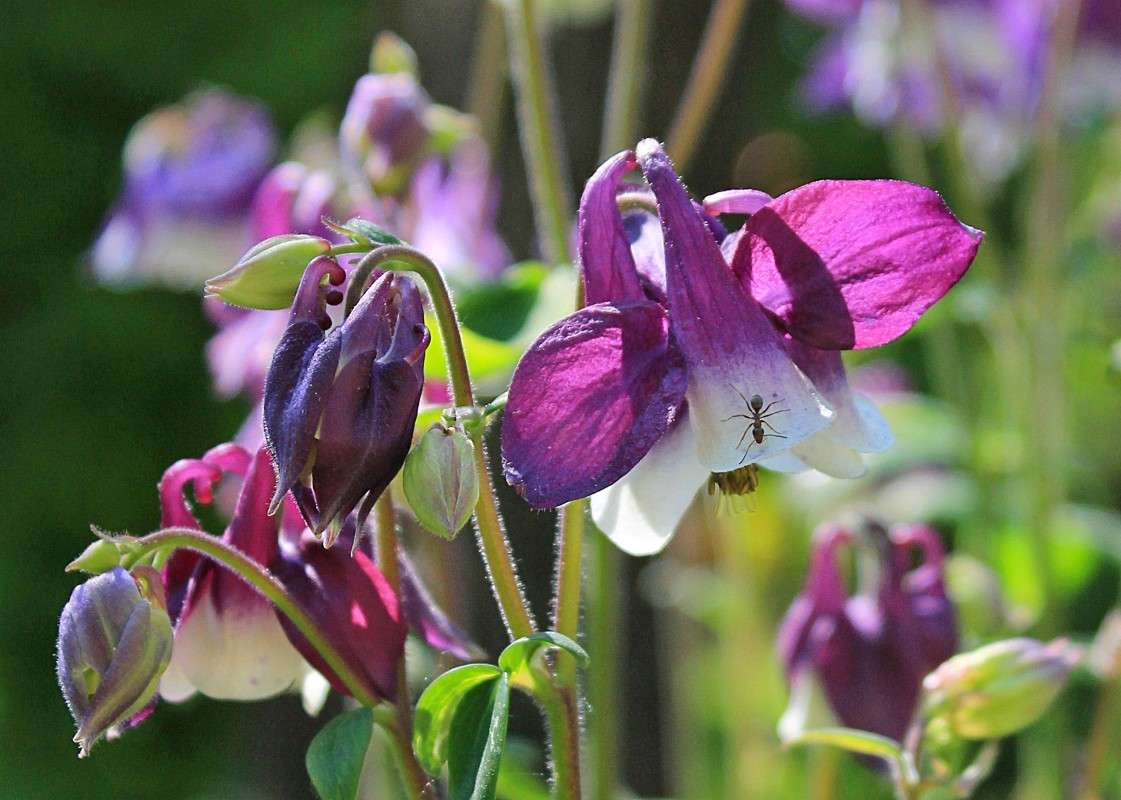 ... ����� �����  �� PhotoGeek.ru #������ ��� ������� #����� ��������������