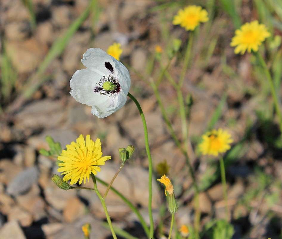 ����� ����� �����  �� PhotoGeek.ru #������ ��� ������� #����� ��������������