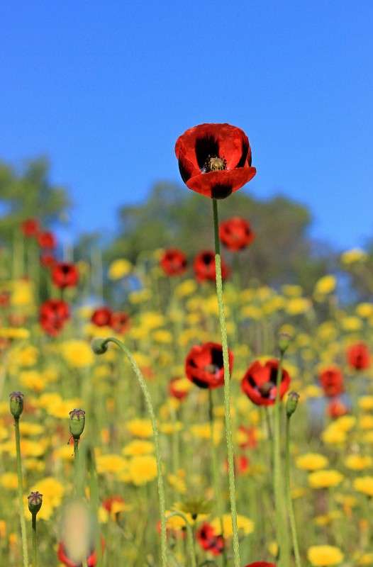 ���� ����� �����  �� PhotoGeek.ru #������ ��� ������� #����� ��������������