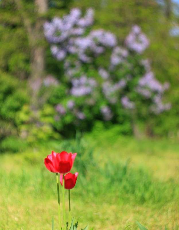 ... ����� �����  �� PhotoGeek.ru #������ ��� ������� #����� ��������������