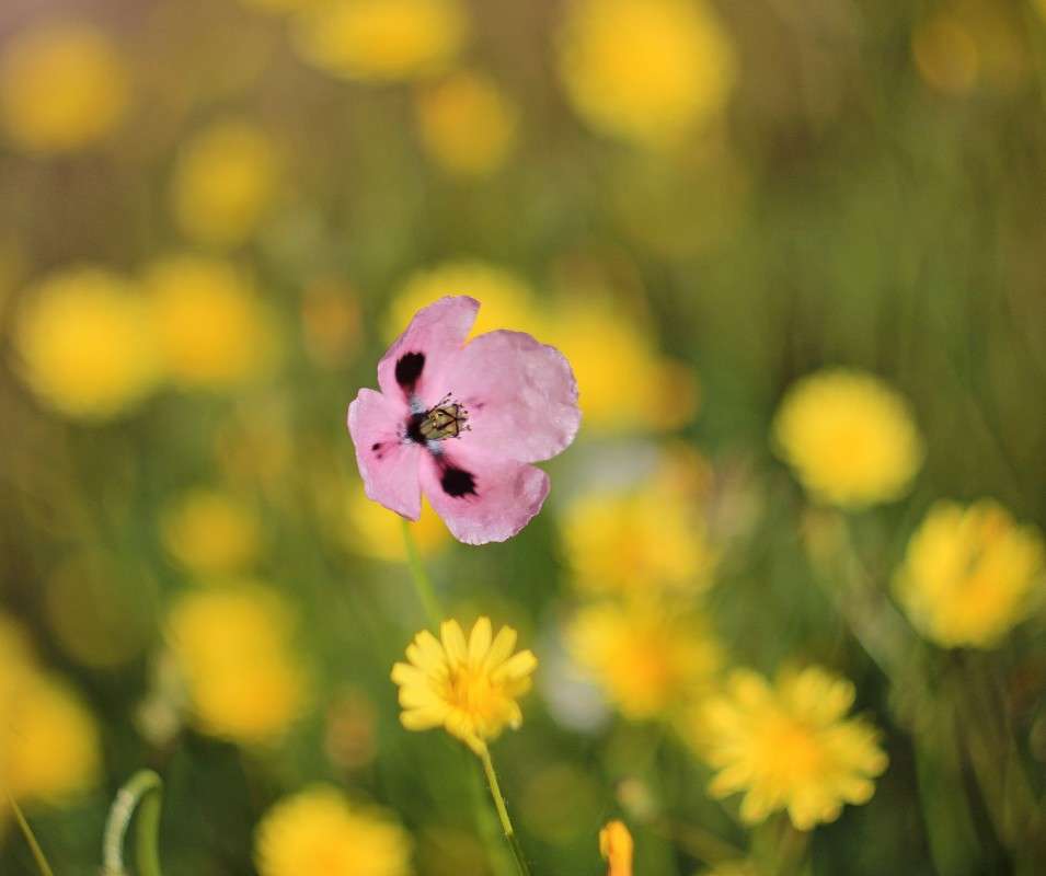 ... ����� �����  �� PhotoGeek.ru #������ ��� ������� #����� ��������������