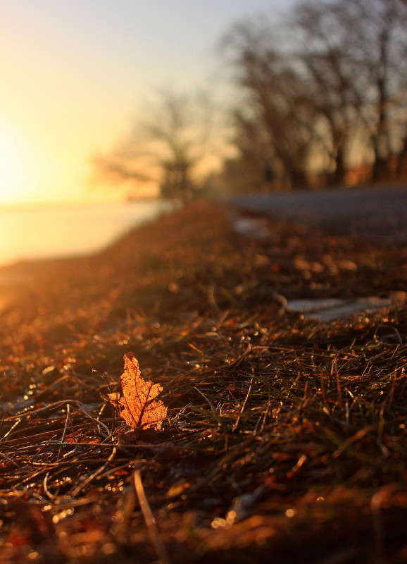 ����������� ����� �����  �� PhotoGeek.ru #������ ��� ������� #����� �������������� #����� ��������