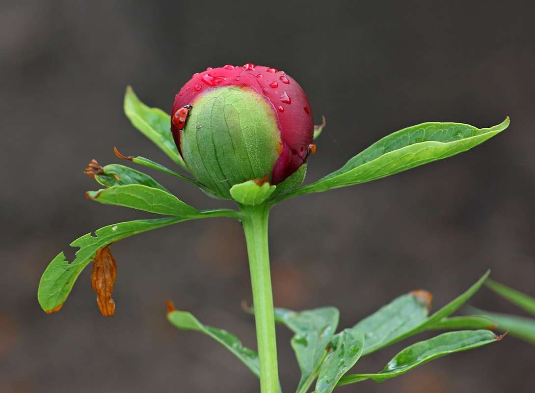 ������� �� ������� ����� �����  �� PhotoGeek.ru #������ ��� ������� #����� �������������� #����� ��������