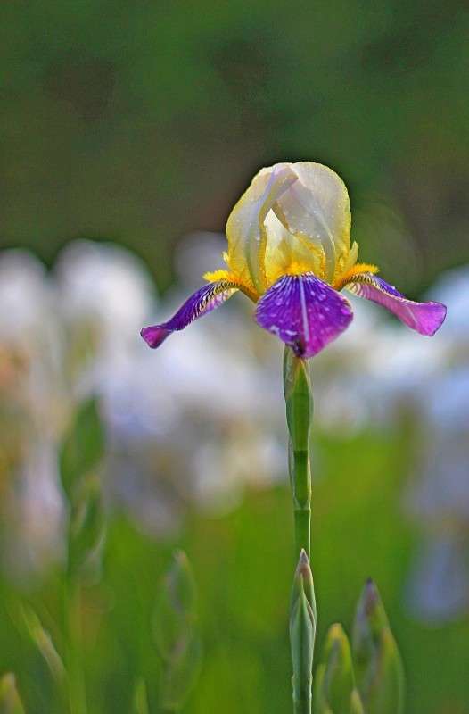 ������� ������ ����� �����  �� PhotoGeek.ru #������ ��� ������� #����� ��������������