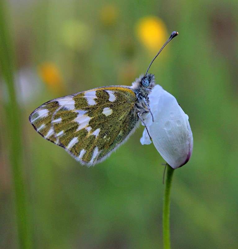 ... ����� �����  �� PhotoGeek.ru #������ ��� ������� #����� ��������������