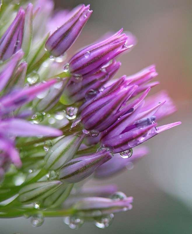 ����� �������...� ������� ����� �����  �� PhotoGeek.ru #����� #������ ��� ������� #����� �������������� #���������