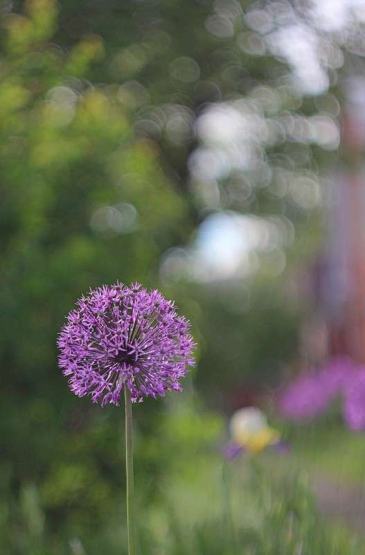 �������� ����� �����  �� PhotoGeek.ru #������ ��� ������� #����� ��������������