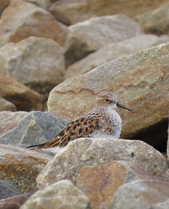 ����� ������ ����� �����  �� PhotoGeek.ru #�������� ��� #����� ��� ��� ���������