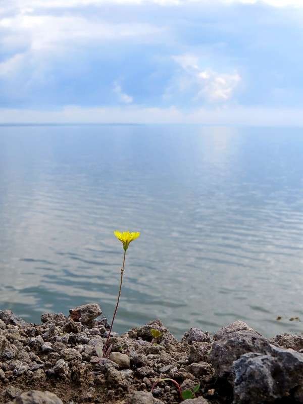 �� ���� ����� �����  �� PhotoGeek.ru #������ ��� ������� #����� ��������������