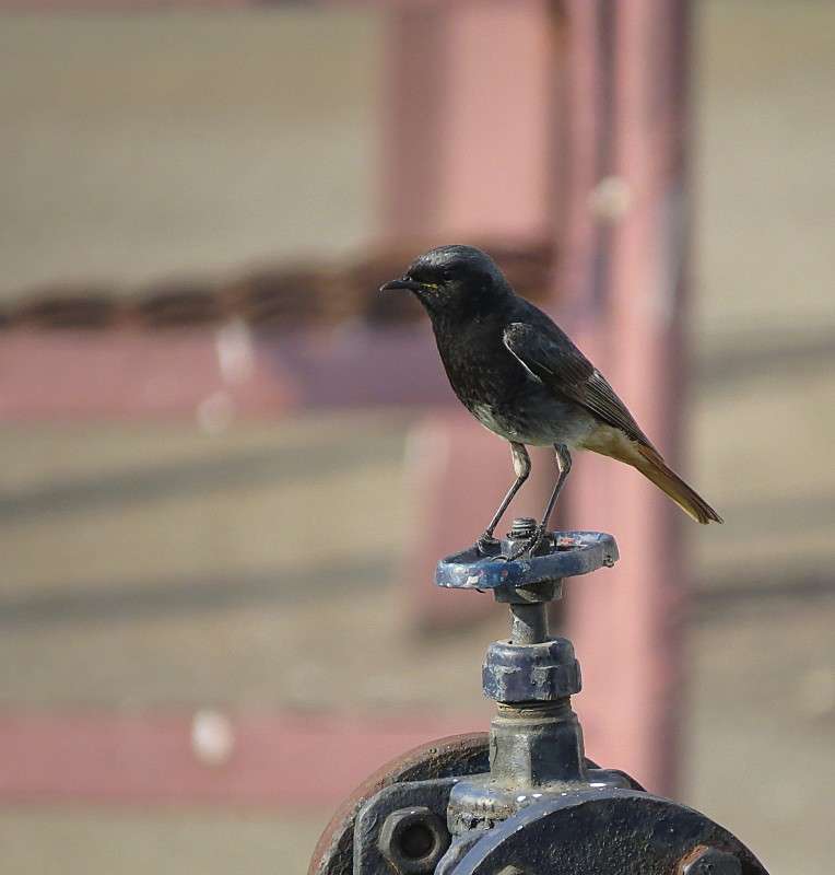 ������ �� ���...������ ����� �����  �� PhotoGeek.ru #�������� ��� #����� ��� ��� ���������