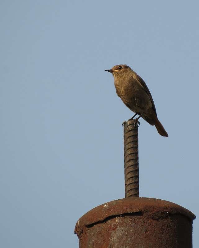 ������� ������� ����� �����  �� PhotoGeek.ru #�������� ��� #����� ��� ��� ���������