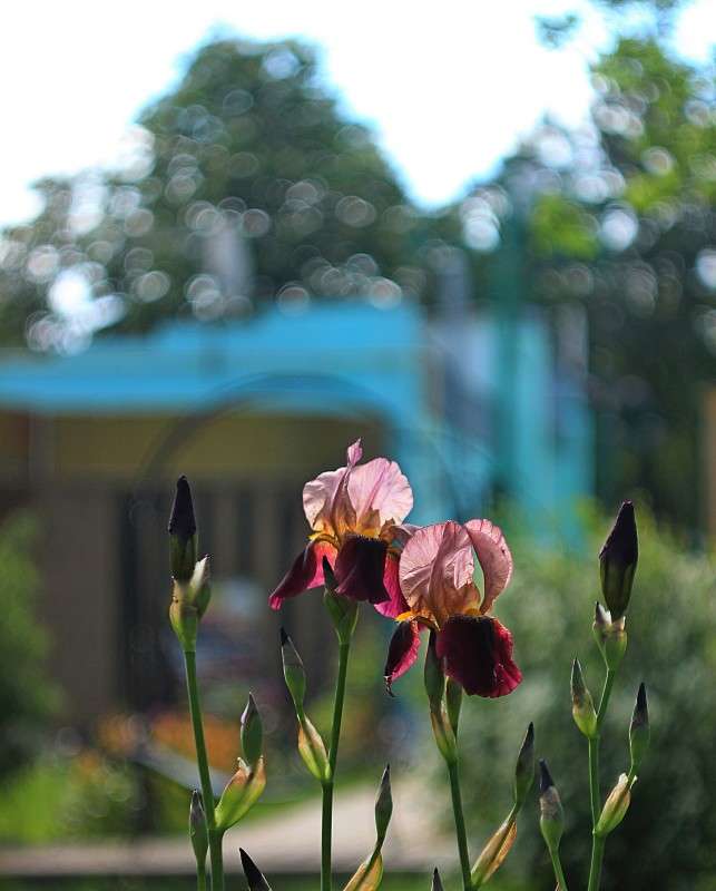 ����� ����� �����  �� PhotoGeek.ru #������ ��� ������� #����� ��������������