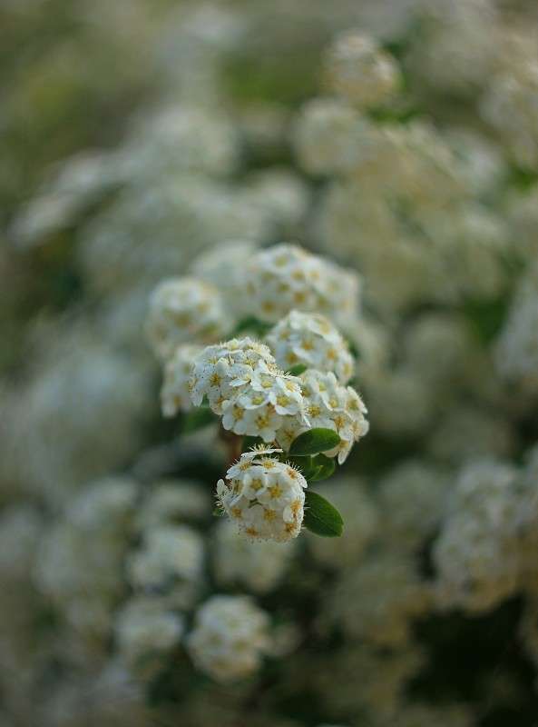 ����� �� ����� ����� �����  �� PhotoGeek.ru #������ ��� ������� #����� ��������������