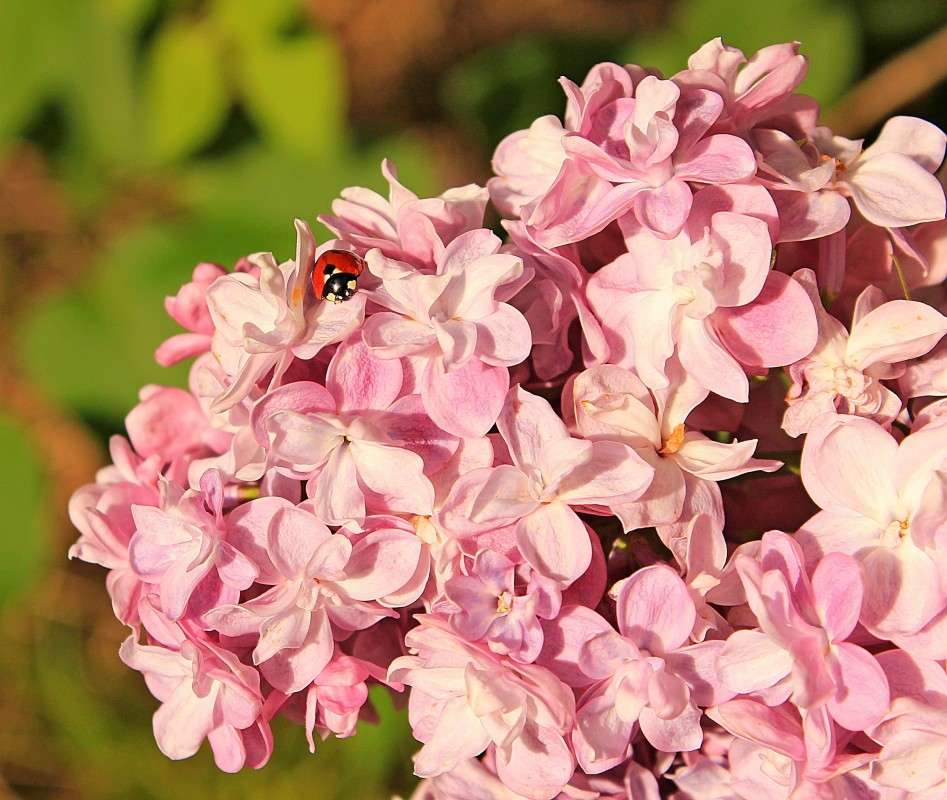 ��������� ������� ����� �����  �� PhotoGeek.ru #�������� ��� #������ ��� ������� #����� ��������������