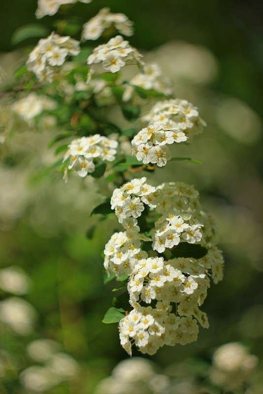 �������1 ����� �����  �� PhotoGeek.ru #������ ��� ������� #����� ��������������