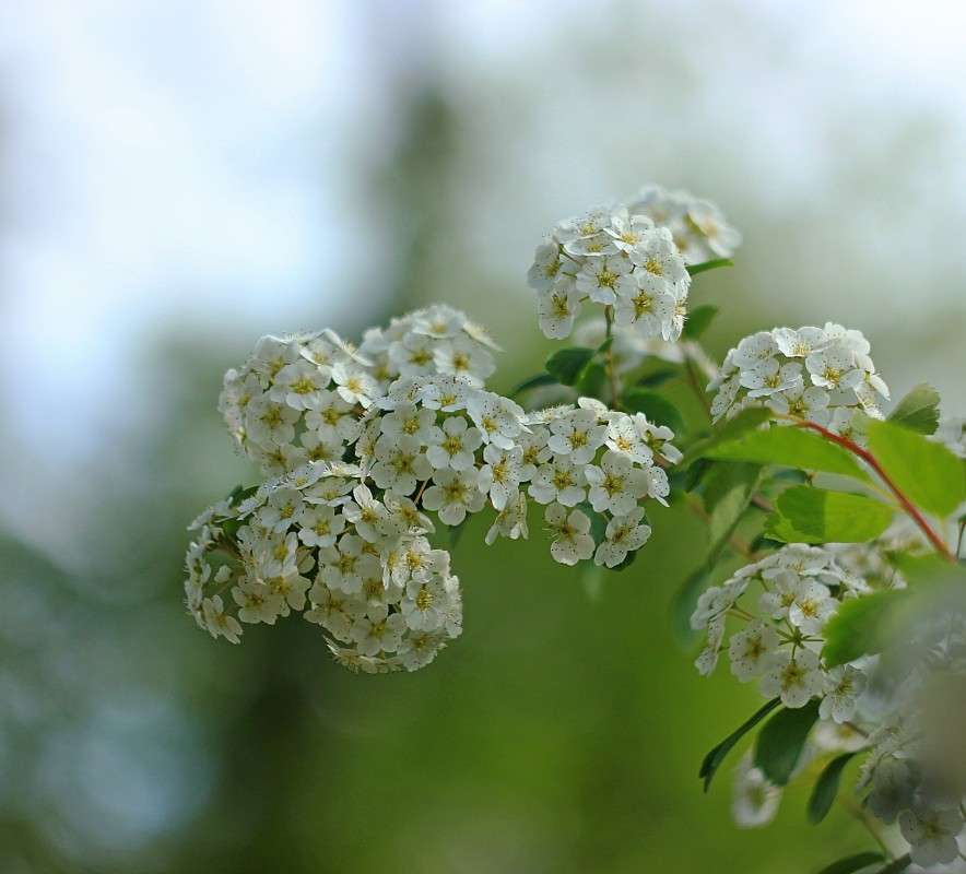 ������� 2 ����� �����  �� PhotoGeek.ru #������ ��� ������� #����� ��������������