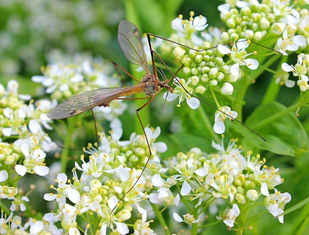 ������ ����� �����  �� PhotoGeek.ru #����� #�������� ��� #����� ��� ��� ��������� #����� �������������� #���������