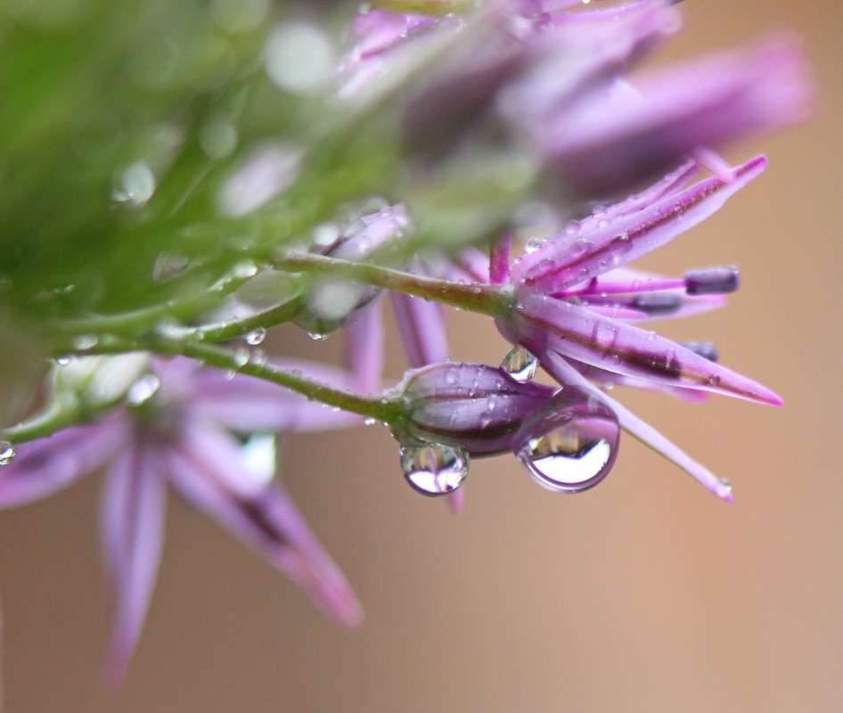 ��������... ����� �����  �� PhotoGeek.ru #����� #������ ��� ������� #����� ��������������