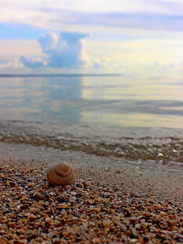 ... ����� �����  �� PhotoGeek.ru #������ ��� ������� #����� ��������