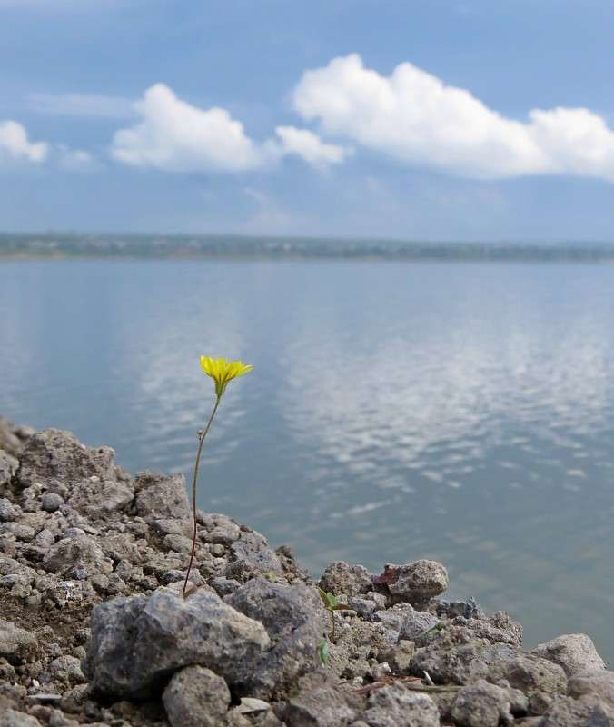 ������ ����� ����� �����  �� PhotoGeek.ru #������ ��� ������� #����� ��������������