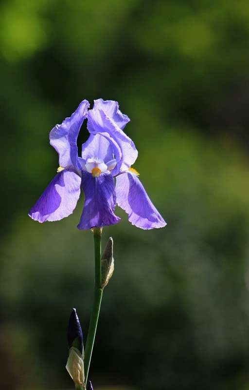 ���� ����� �����  �� PhotoGeek.ru #������ ��� ������� #����� ��������������