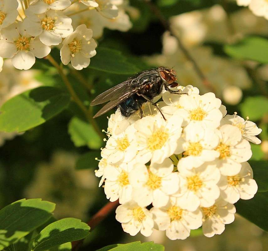 ����, ����-�������� ����� �����  �� PhotoGeek.ru #����� #�������� ��� #������ ��� ������� #����� ��������������