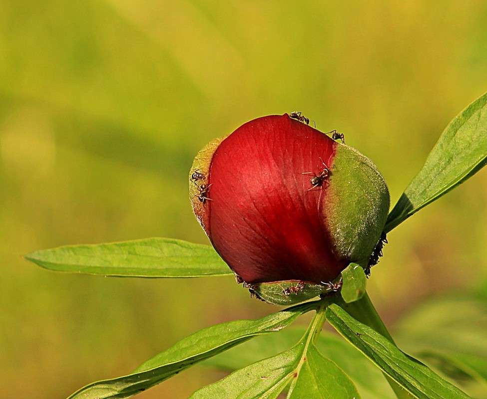 ���� � ��� ��������� ����� �����  �� PhotoGeek.ru #������ ��� ������� #����� ��������������