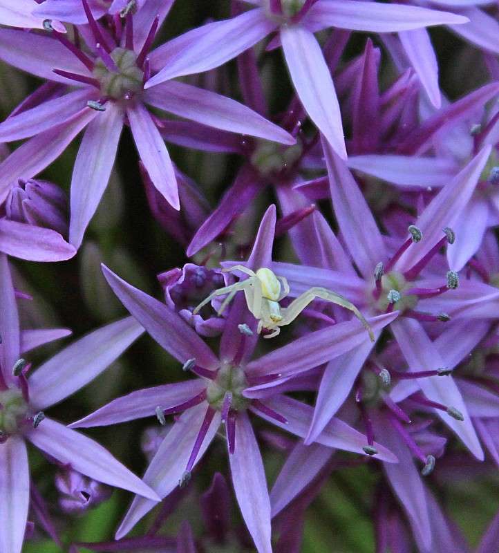 ��������� � ����� ����� �����  �� PhotoGeek.ru #�������� ��� #����� ��� ��� ���������