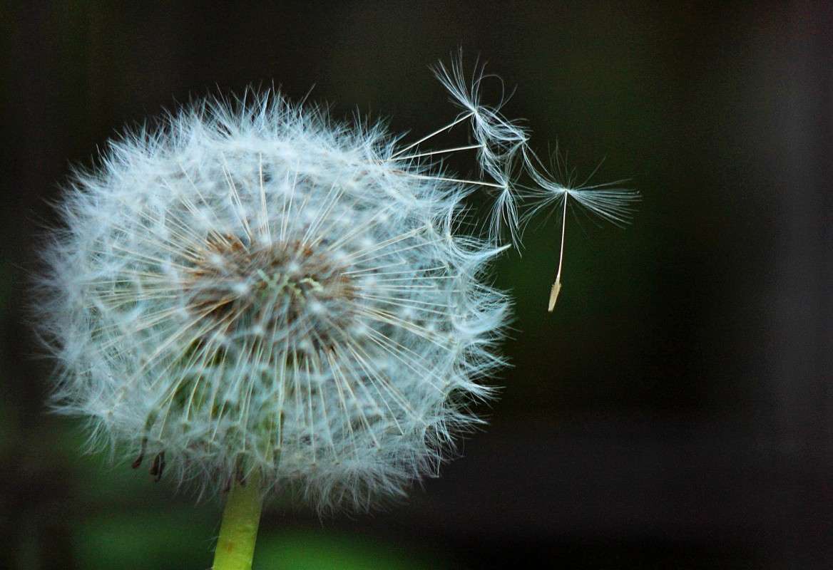 ������ ����� ����� �����  �� PhotoGeek.ru #������ ��� ������� #����� ��������������