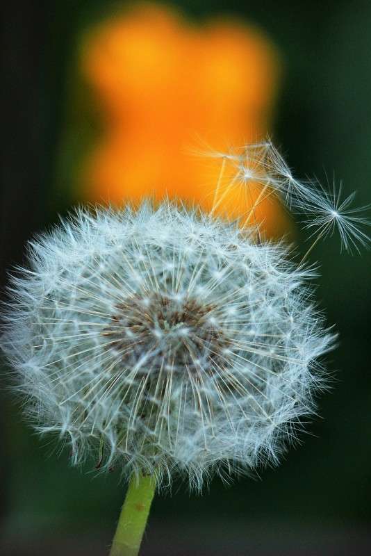 �����������) ����� �����  �� PhotoGeek.ru #������ ��� ������� #����� ��������������