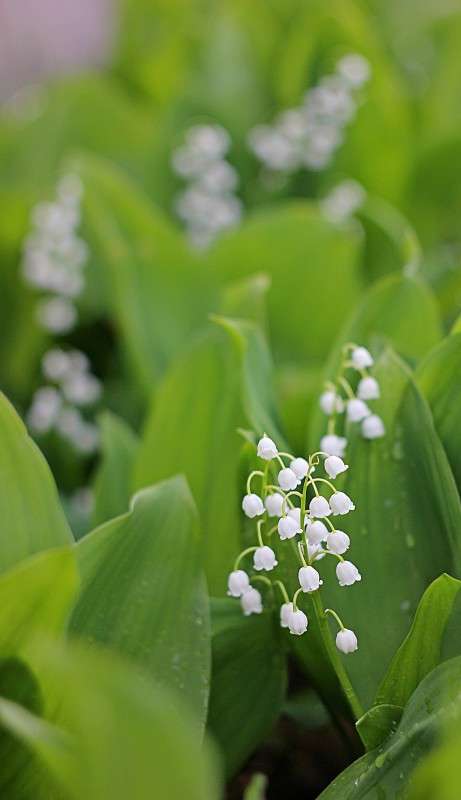 �������, �������... ����� �����  �� PhotoGeek.ru #������ ��� ������� #����� ��������������